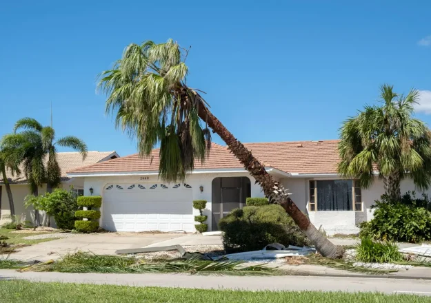 Signs of Roof Damage After a Storm